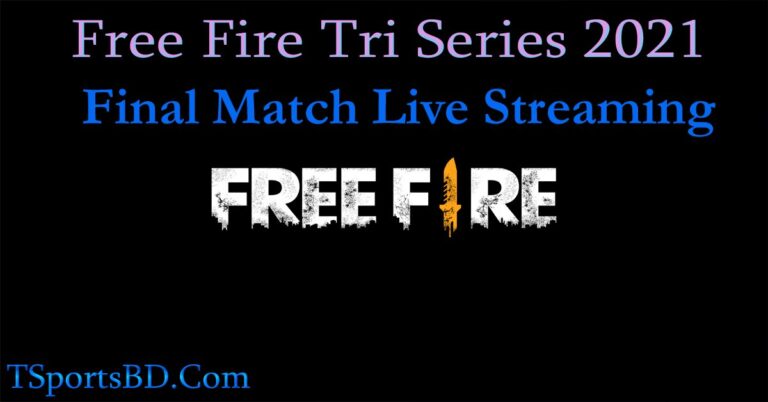 Free Fire Final game