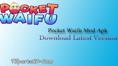 Pocket Waifu Mod Apk