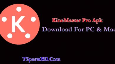 Kinemaster Apk For PC