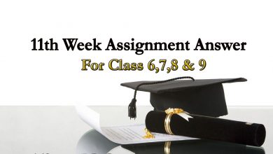 11th Week Assignment Answer Of Class 6,7,8,9 | Download Assignment Answer PDF