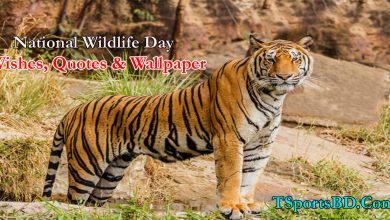 National Wildlife Day