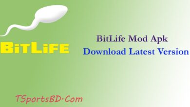 BitLife Mod Apk