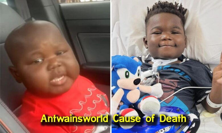 Antwainsworld Death Cause