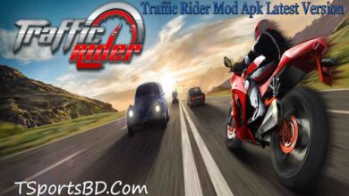 Traffic Rider Apk