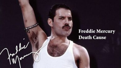 Freddie Mercury Death Cause