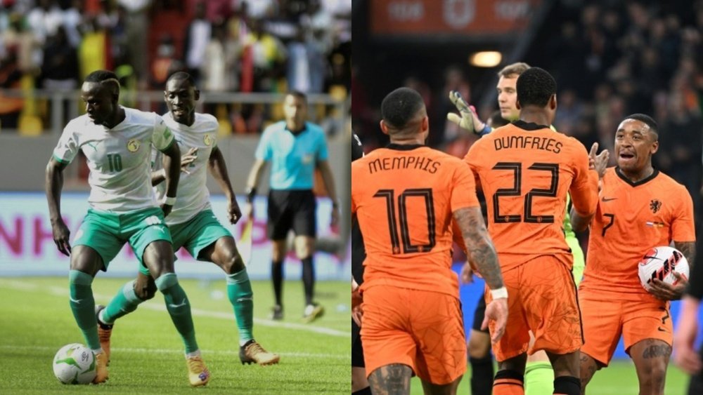 Senegal vs Netherlands Live