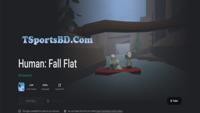 Human: Fall Flat APK