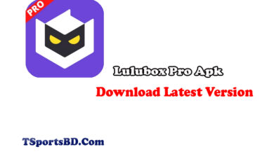 Lulubox Pro Apk