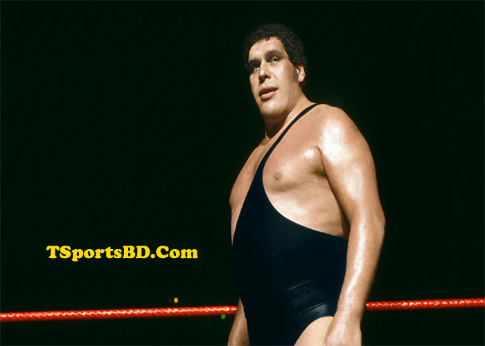 Andre the Giant Net Worth