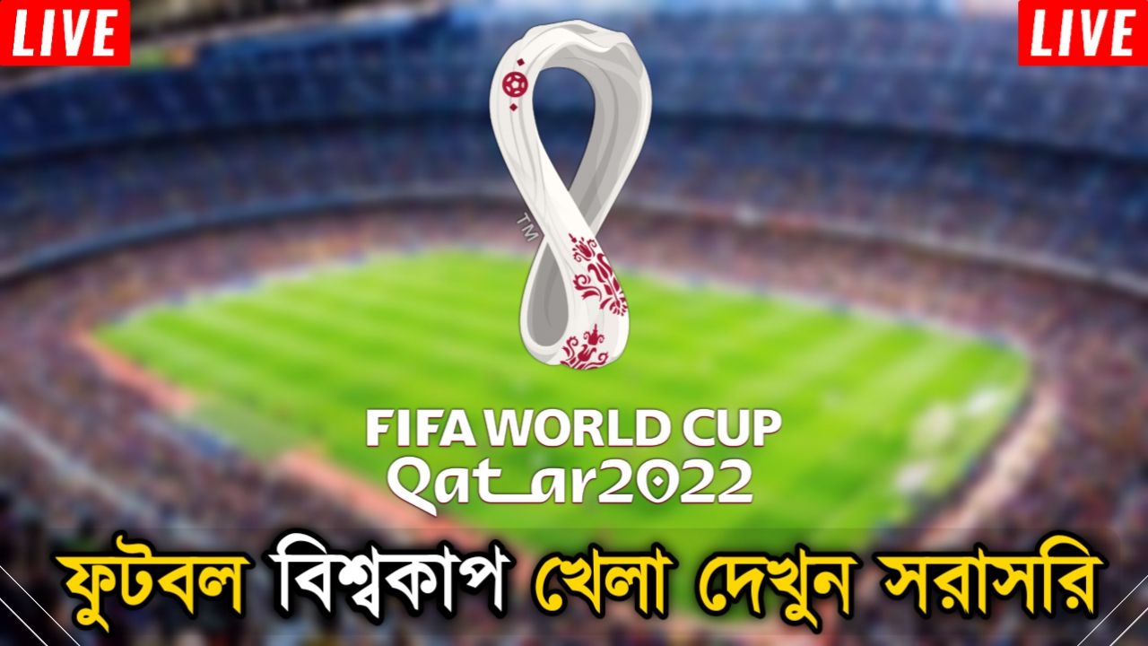 FIFA World Cup 2022 Live