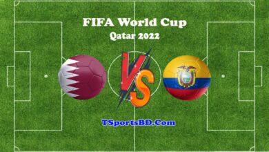 Qatar vs Ecuador Live