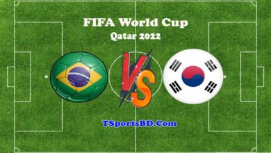 Brazil vs South Korea